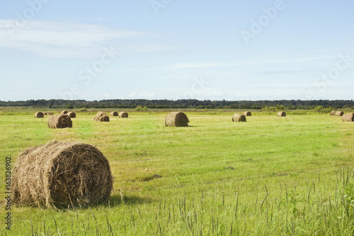 A field with straw bales after harvest