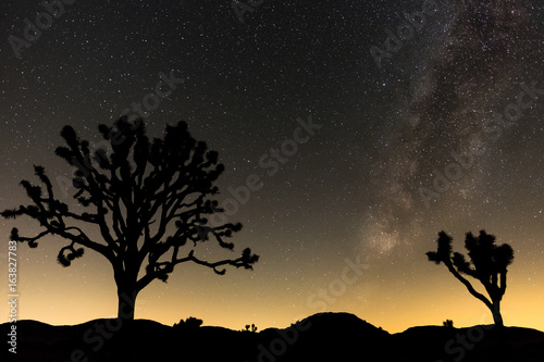 Milky Way in Joshua Tree