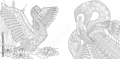 Fototapeta Naklejka Na Ścianę i Meble -  Coloring page collection of swan and flamingo. Freehand sketch for adult antistress colouring book in zentangle style.
