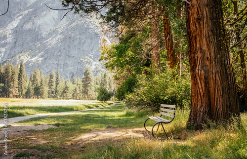 Walk along the picturesque Yosemite Park. A lonely bench and majestic nature