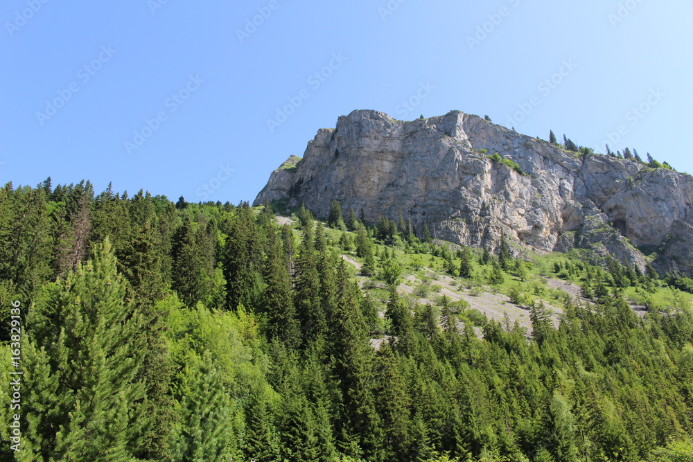 Obraz premium Swiss mountains