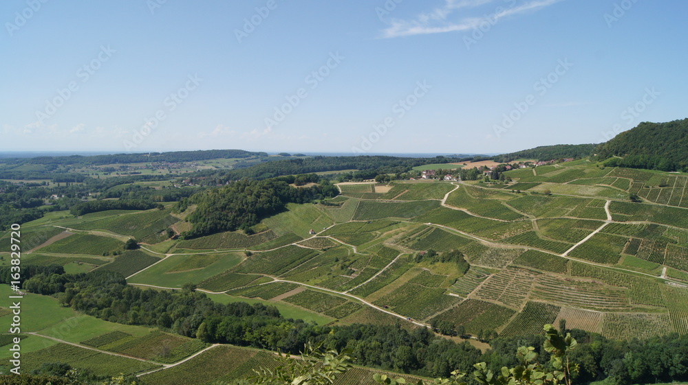 vue panoramique vigne jura