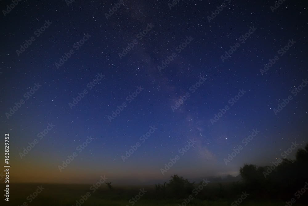Stars of the Milky Way galaxy in the night sky. Space in the background of the forest. Stars of the Milky Way galaxy in the night sky. Space in the background of the forest.