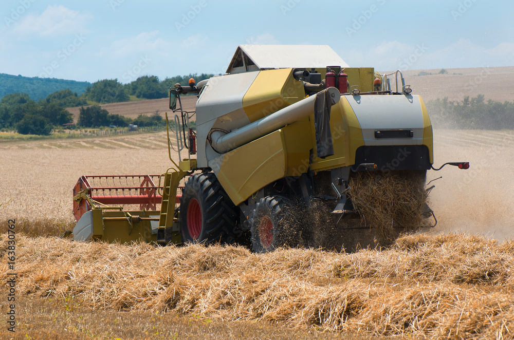 Obraz premium Grain harvester combine work in field