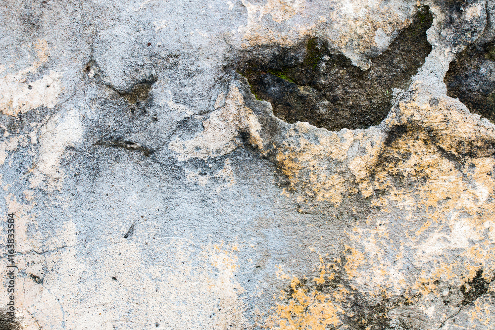 Obraz premium white concrete wall texture