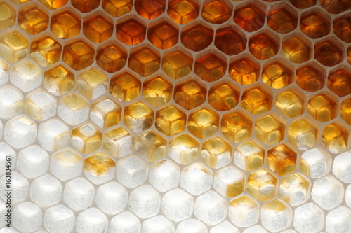 Miel sur cire blanche