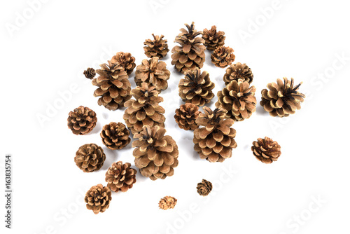 a bunch of pinecone