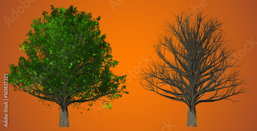 Tree isolated on abstract background  3D Illustration