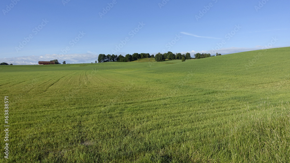 Farmland