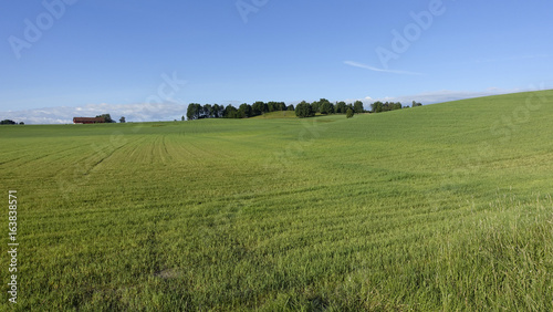 Farmland