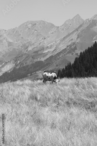 La Clusaz