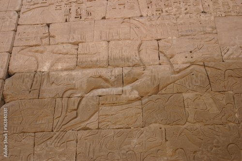 Gazelle fresque Egyptienne