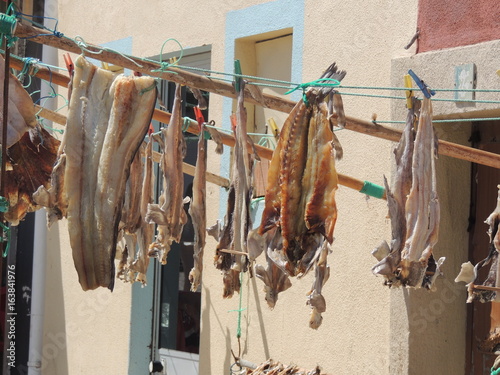 Obraz na plátně poisson qui sèche au portugal