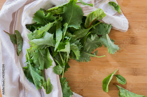 Fresh Garden Greens Drying on Woodblock