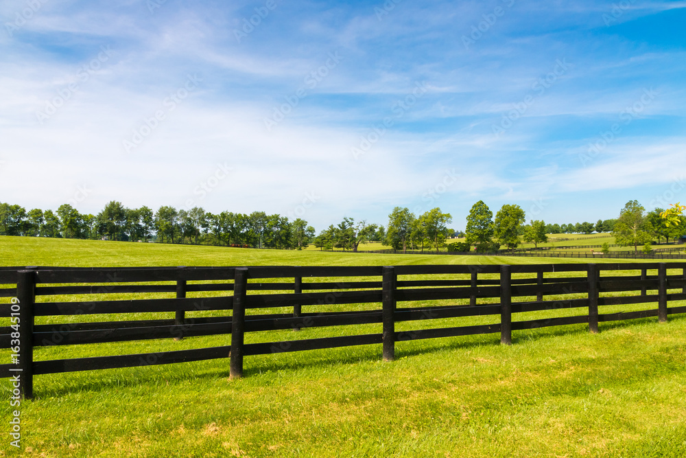 Green pastures of horse farms.