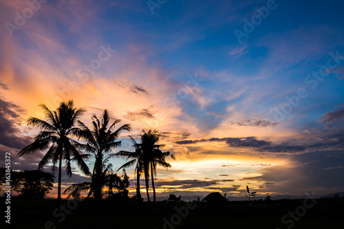 Silhouetted of coconut tree during sunrise