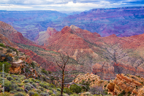 Colorful Grand Canyon View