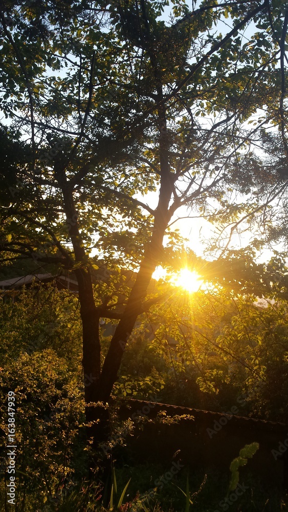 Fototapeta premium Tramonto