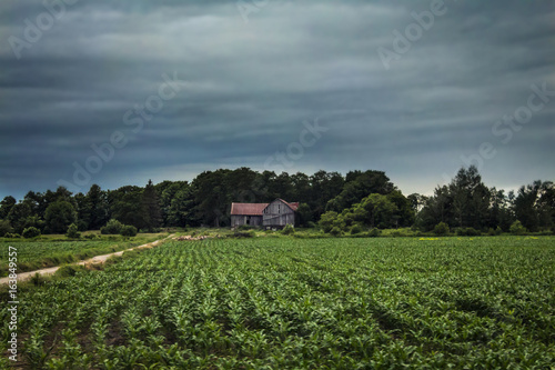 abandoned farmhouse in the countryside landscape