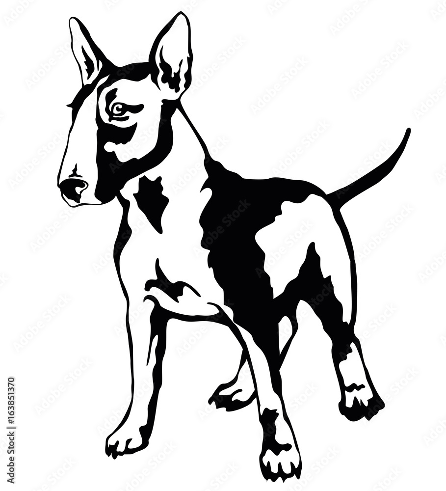 Decorative standing portrait of dog Bull terrier, vector illustration