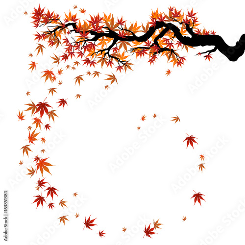 Fall leaves card