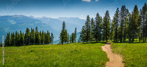Fotografía Vail Mountain Hiking Trail
