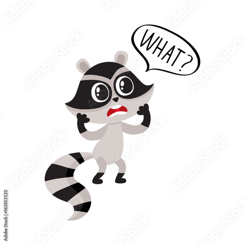 Little raccoon character unpleasantly surprised  exclaiming What  cartoon vector illustration isolated on white background.