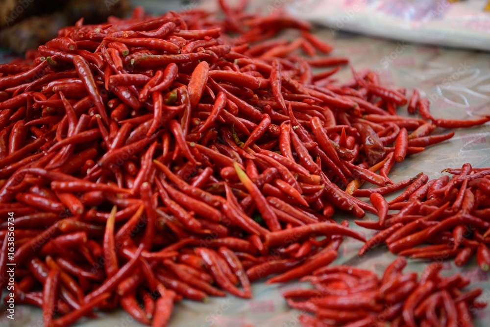 Fototapeta premium red chilli