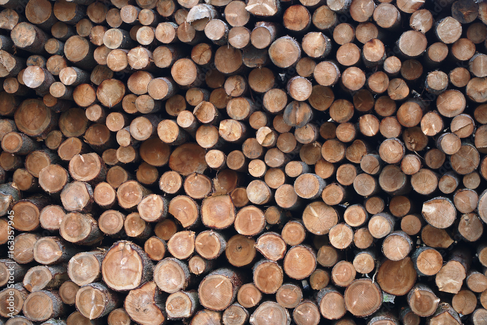 lumberyard timber wood log pile stack forest industry natural resource