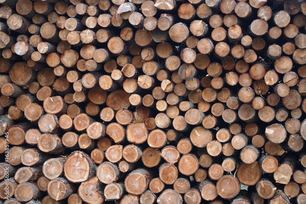 lumberyard timber wood log pile stack forest industry natural resource lumberyard timber wood log pile stack forest industry natural resource