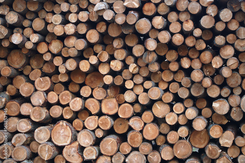 lumberyard timber wood log pile stack forest industry natural resource