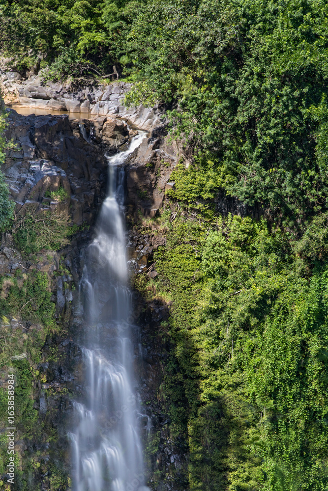 Scenic Maui Waterfall