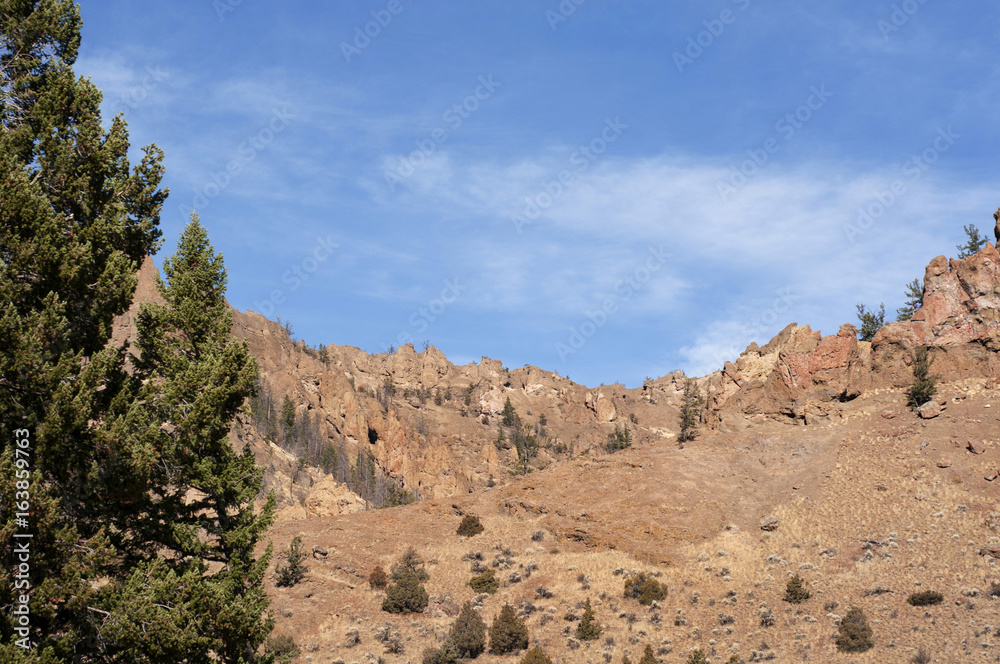 Empty Wyoming Mountainside framed by one tree
