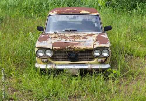 Old green car with grass.