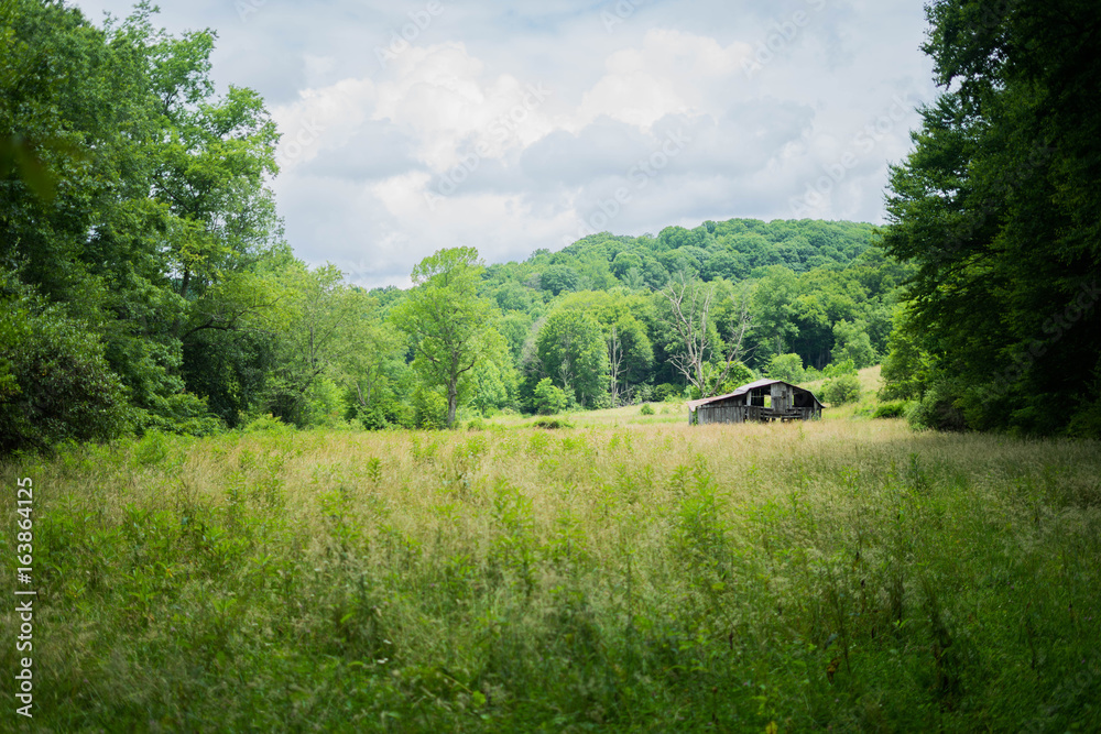 Fototapeta premium Abandon Barn
