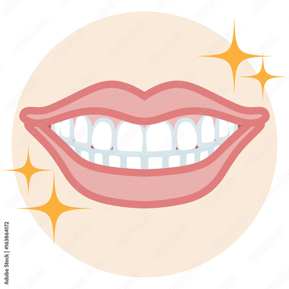 Dentition - good Condition Dentition - good Condition
