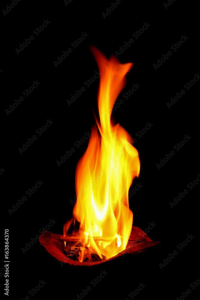 burning firewood with fire in stove
