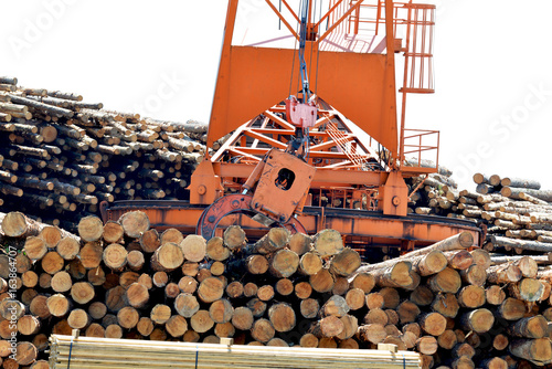 Loglift crane transferring logs to log stack photo