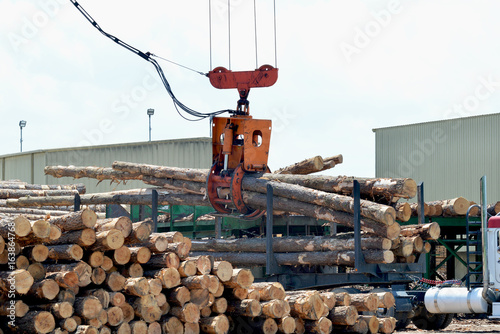 Loglift crane offloading logs from log transport truck photo