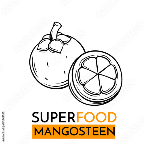 vector icon superfood mangosteen photo