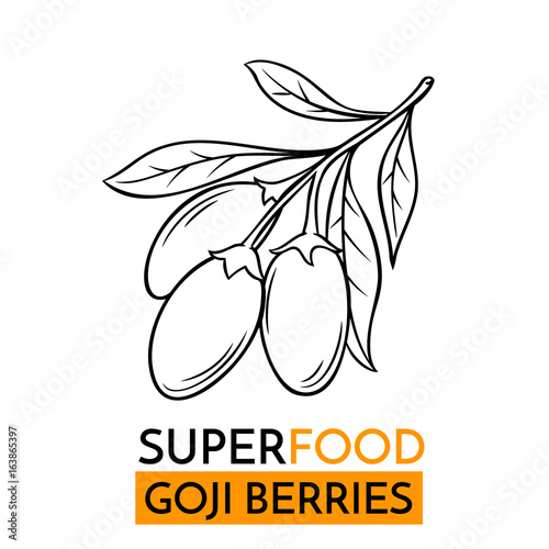 vector icon superfood goji berry