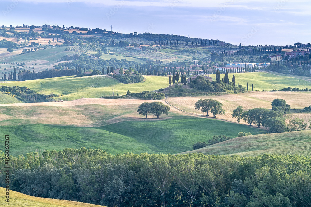 Fototapeta premium Tuscany