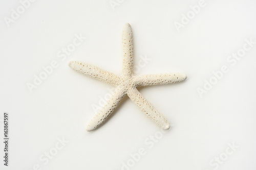 starfish isolated on white background