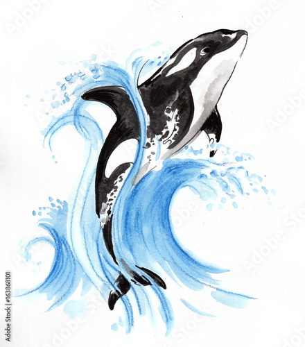 Obraz na płótnie Skacząca orca
