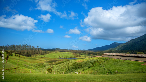 Wallpaper Mural Landscape in Nuwara Eliya Torontodigital.ca