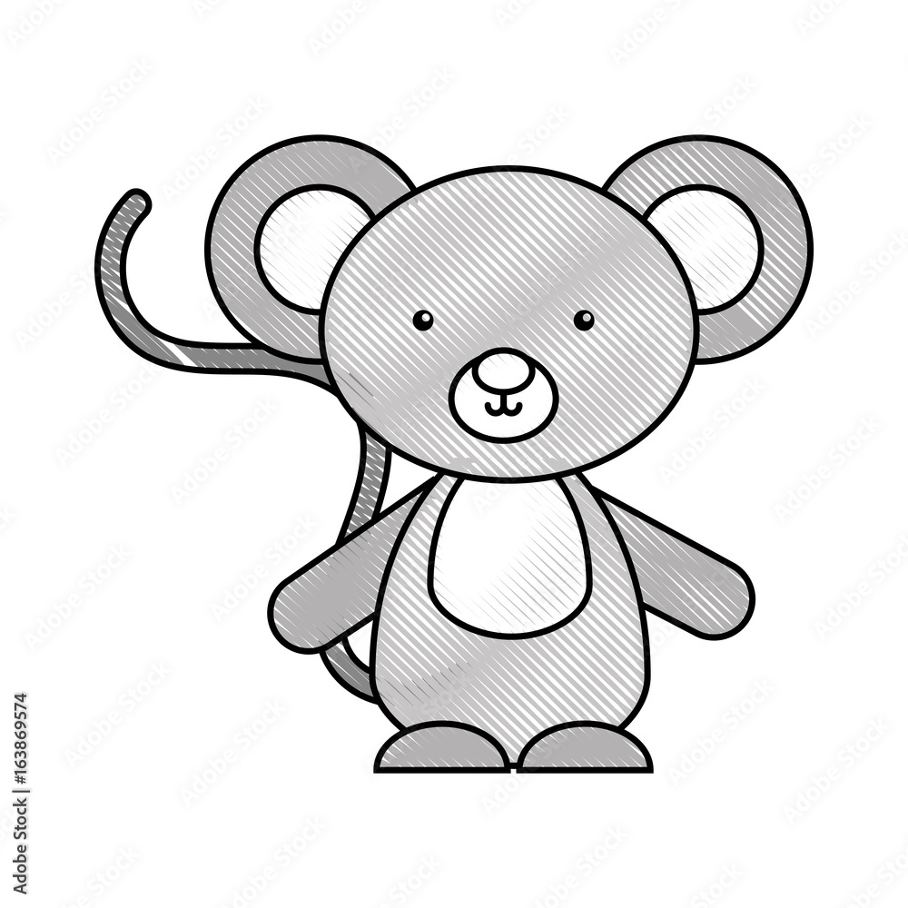 cute and tender koala vector illustration design cute and tender koala vector illustration design