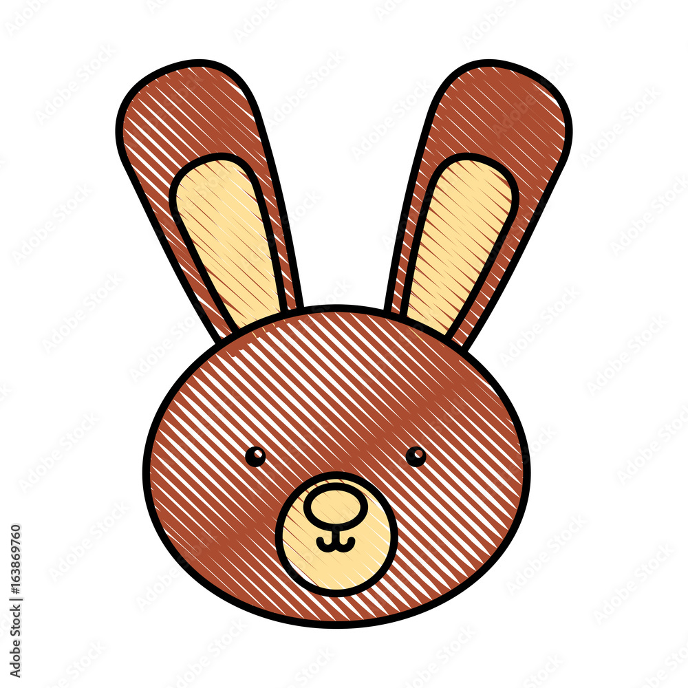 cute and tender rabbit vector illustration design
