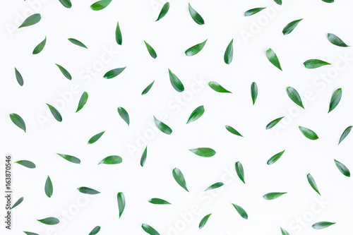 Green leaf pattern on white background. Flat lay, top view