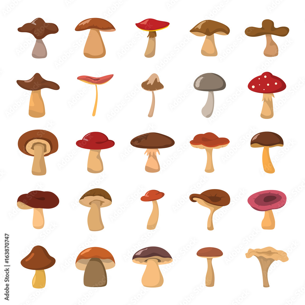 Cartoon mushrooms vector illustration set.