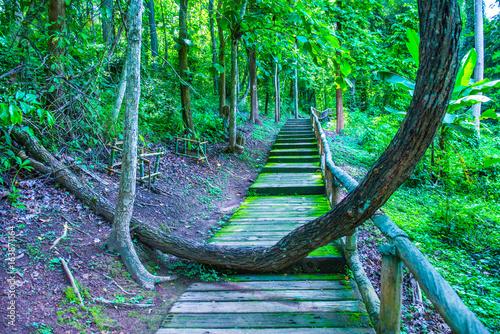 Walk way in Jedsee fountain forest park photo